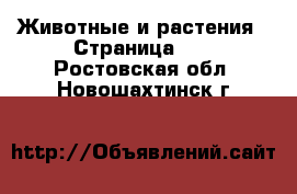  Животные и растения - Страница 12 . Ростовская обл.,Новошахтинск г.